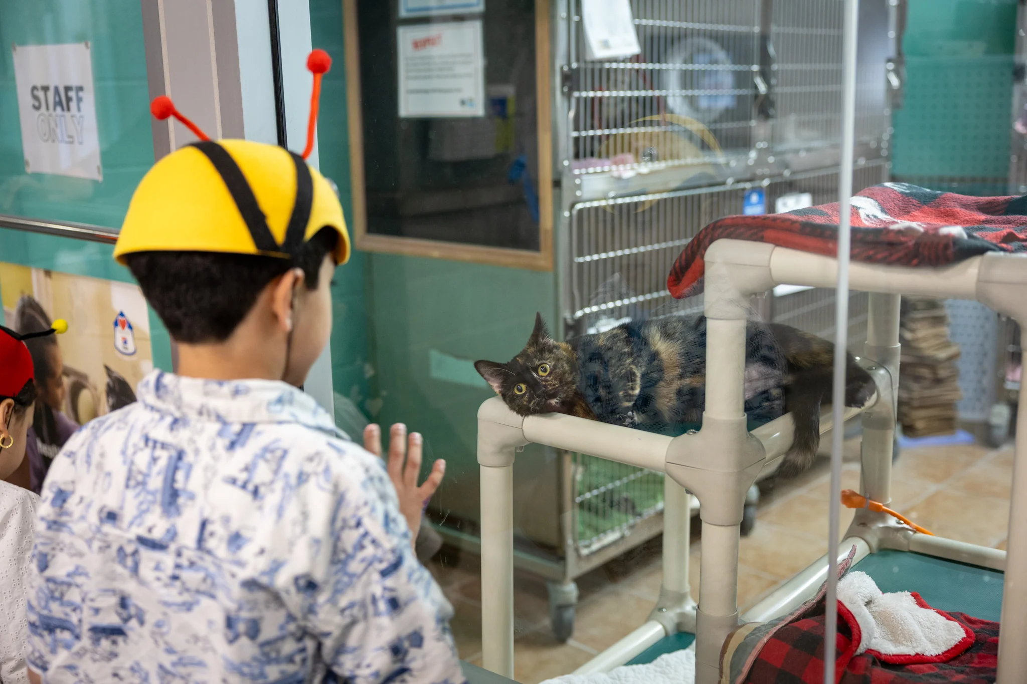 Meow-gical Birthday Party - Image 4
