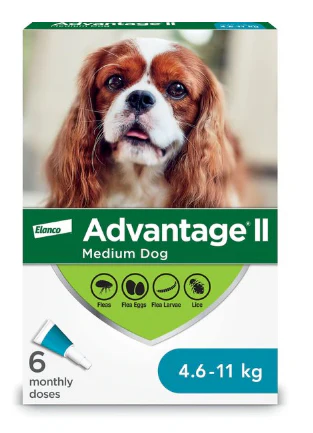 Canine Advantage - Image 3