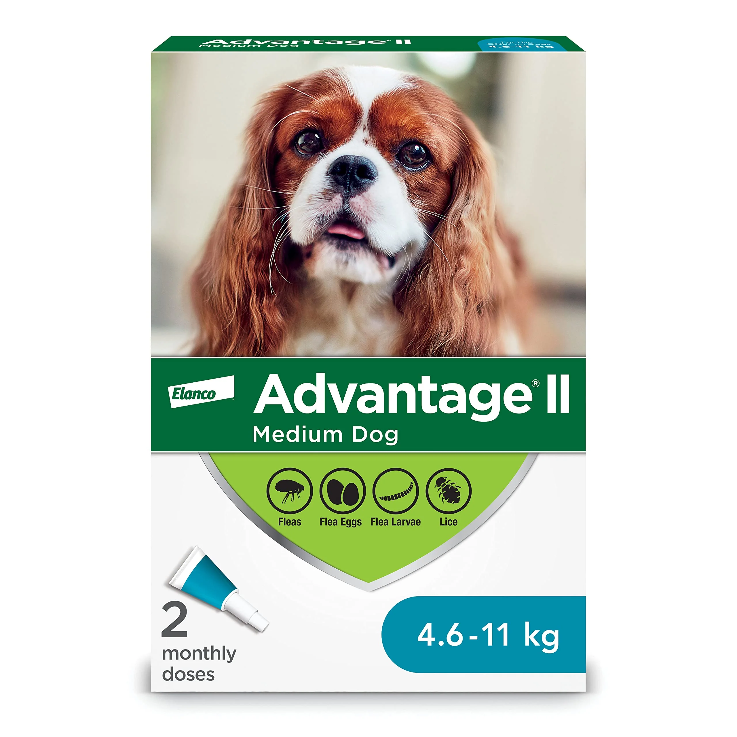 Canine Advantage - Image 4