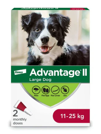 Canine Advantage - Image 5