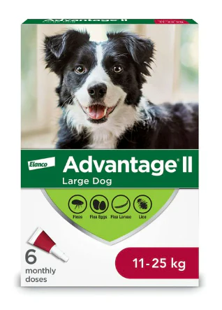 Canine Advantage - Image 6