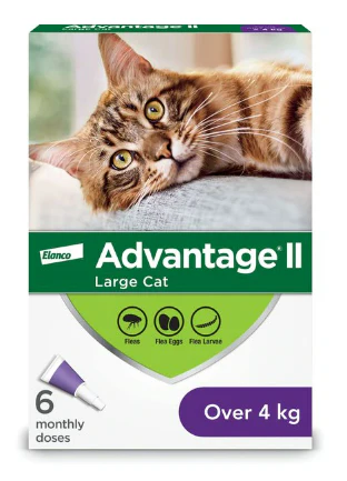 Feline Advantage - Image 3