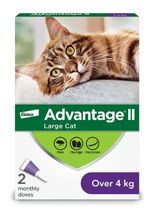 Feline Advantage - Image 4