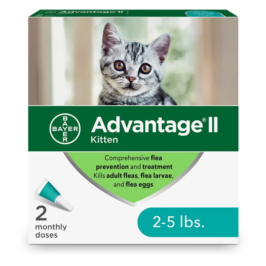 Feline Advantage - Image 5
