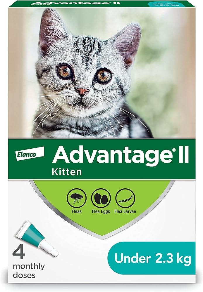 Feline Advantage - Image 6