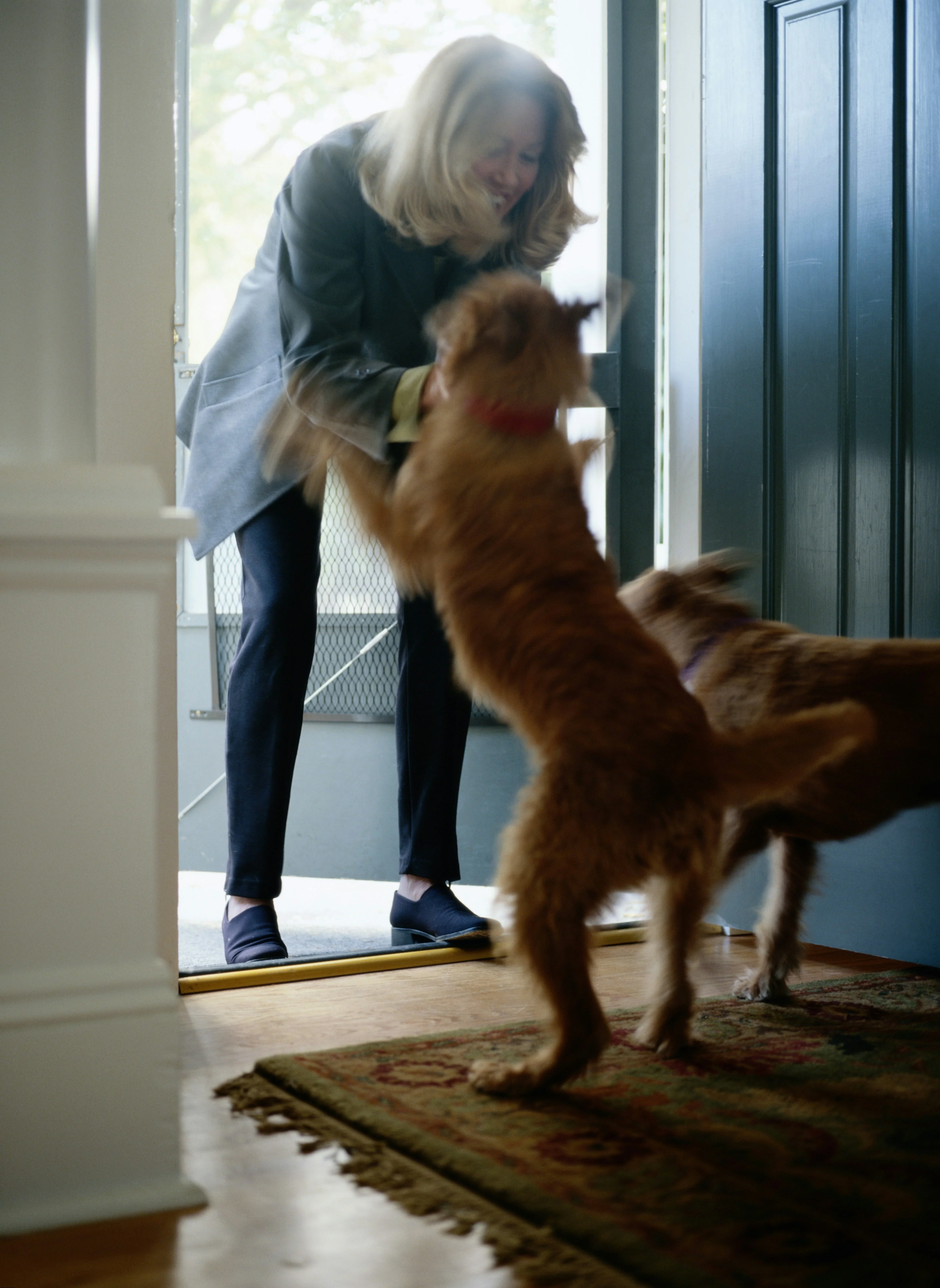 K9 Principles Dog Training - Image 5