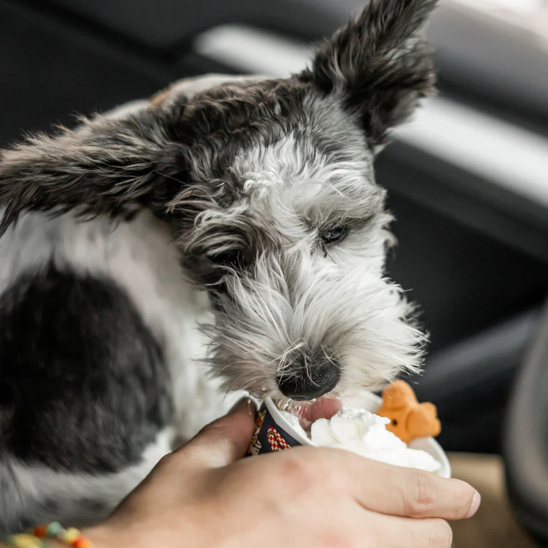 Pup Cup Fund