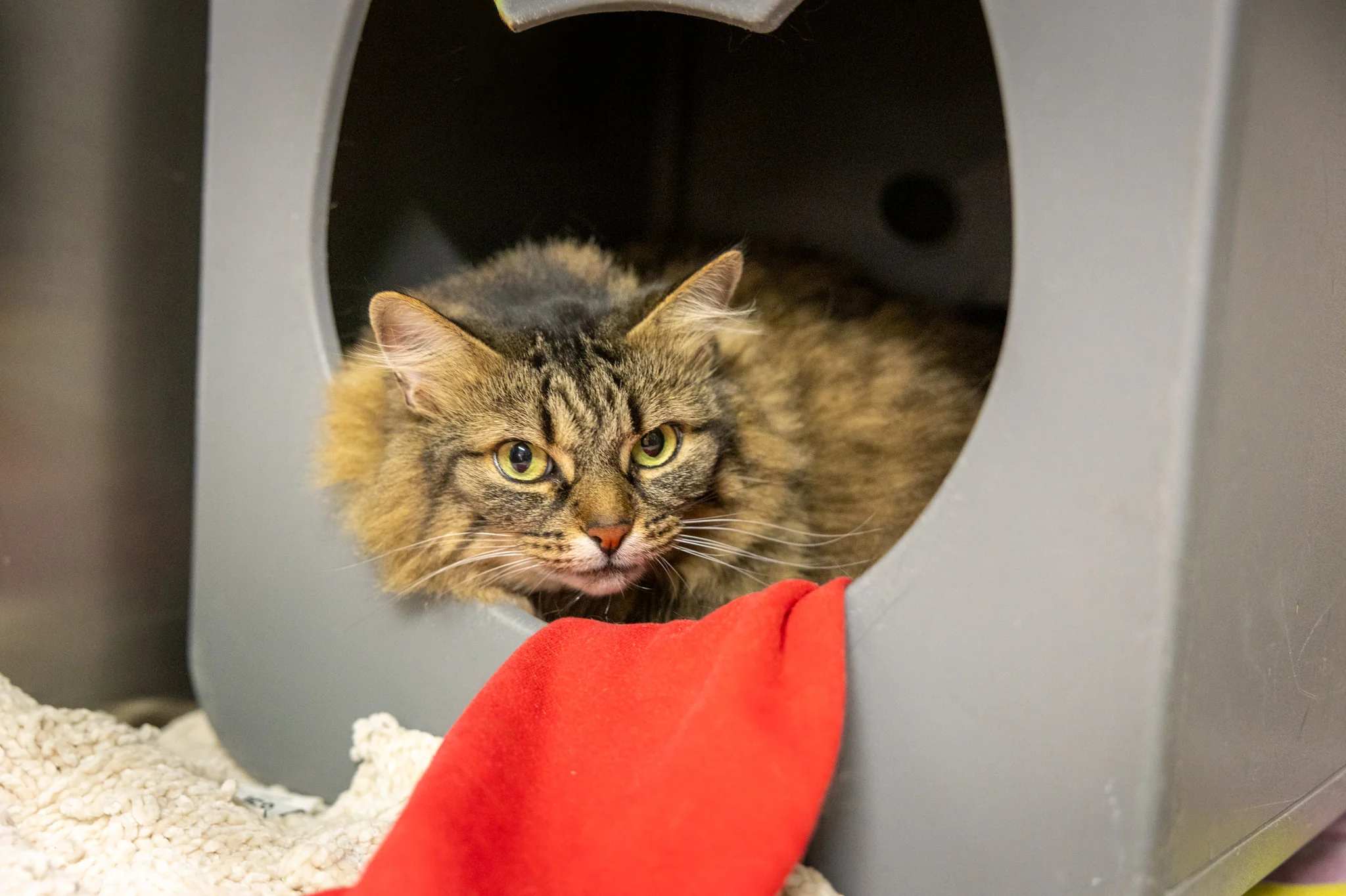 Winifred - Image 3