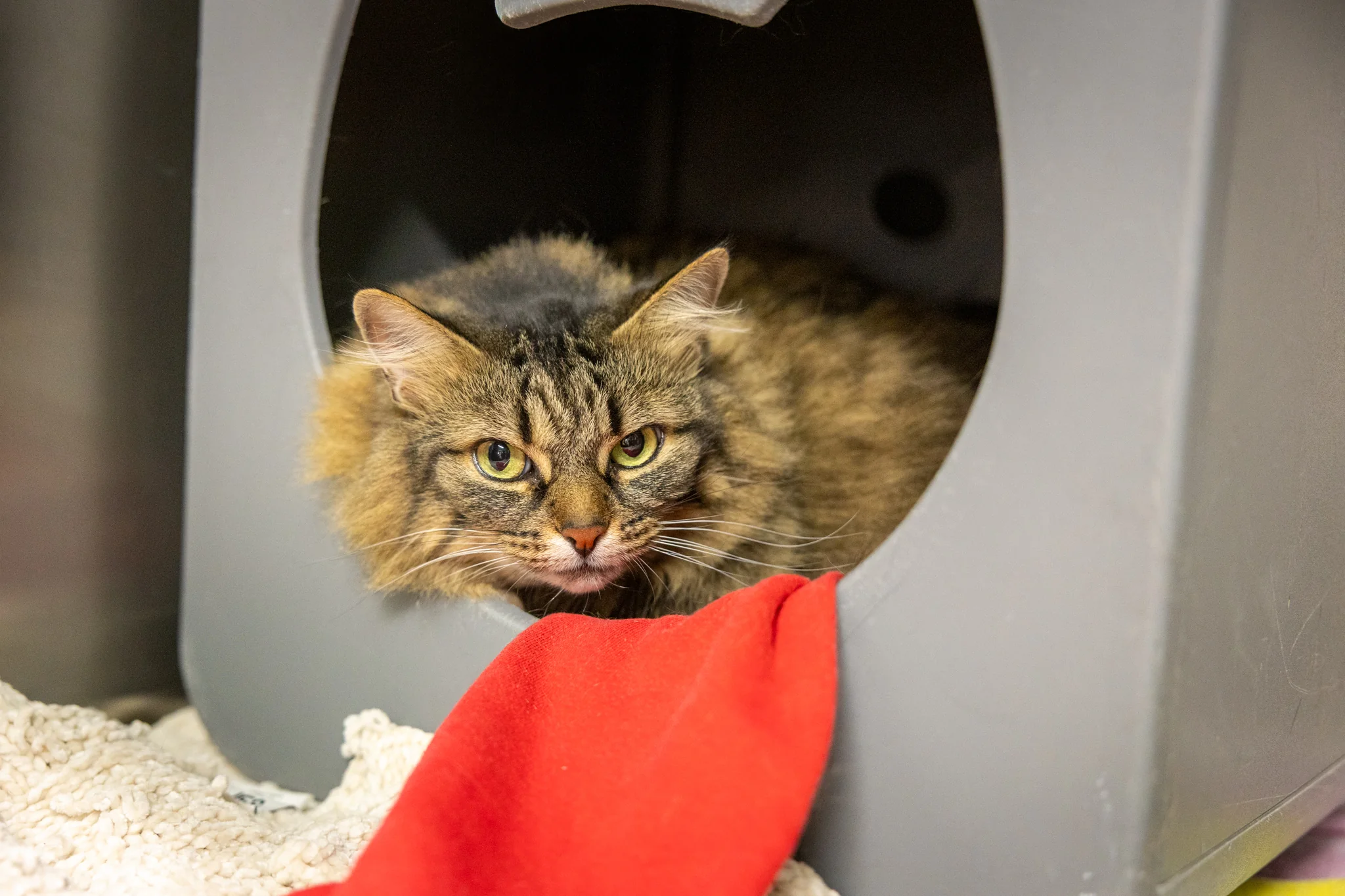 Winifred - Image 4