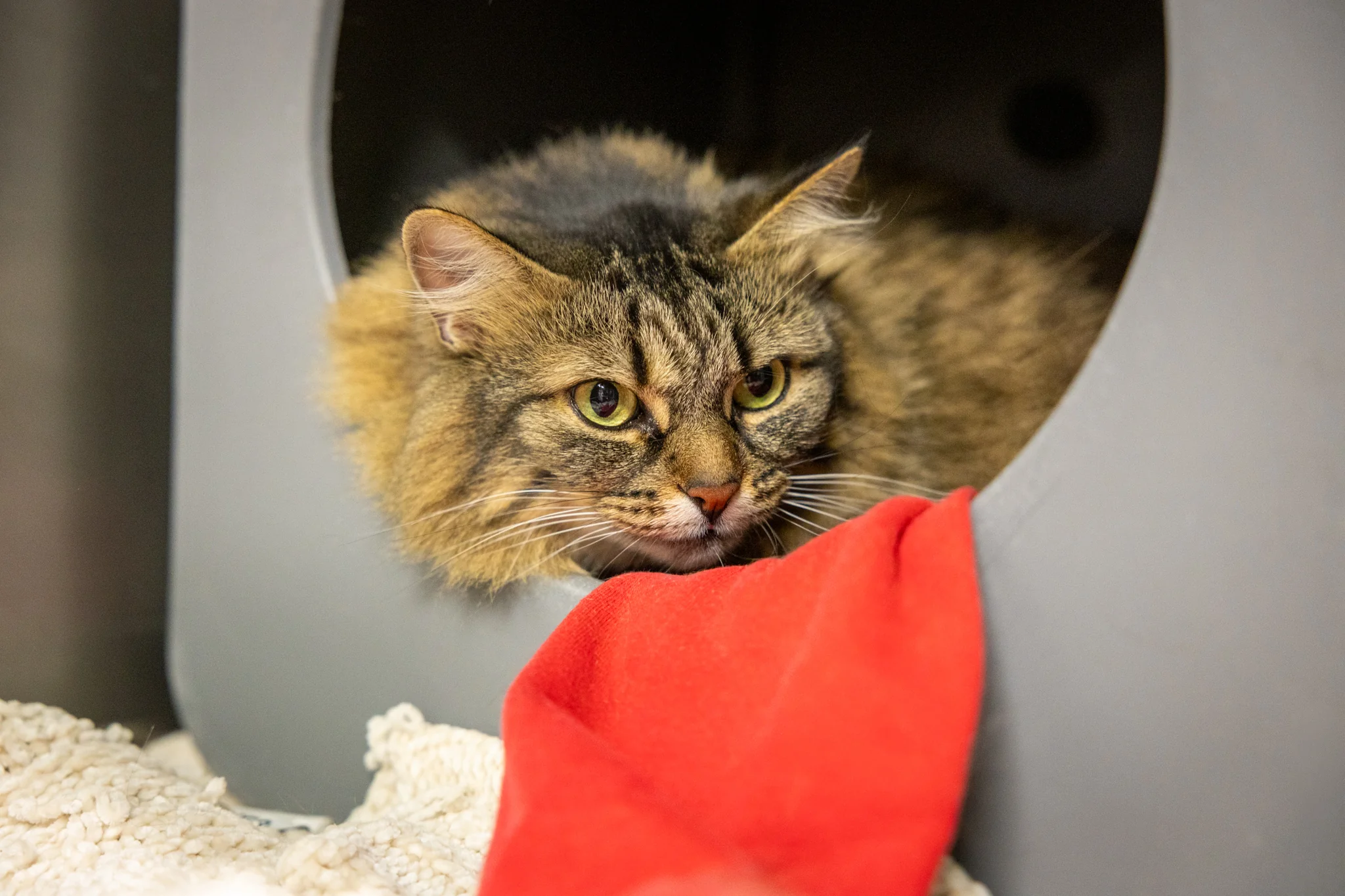 Winifred - Image 5